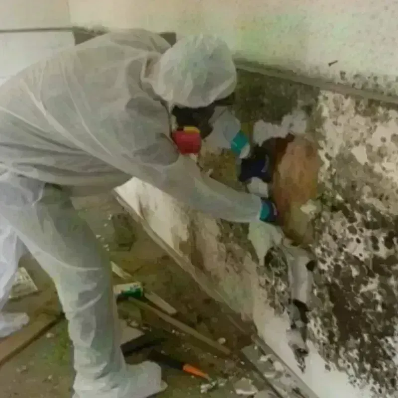 Mold Remediation and Removal in Congers, NY